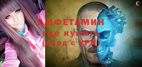 индика Алексин