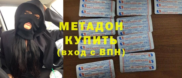 индика Алексин