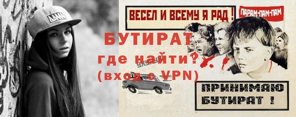 индика Алексин