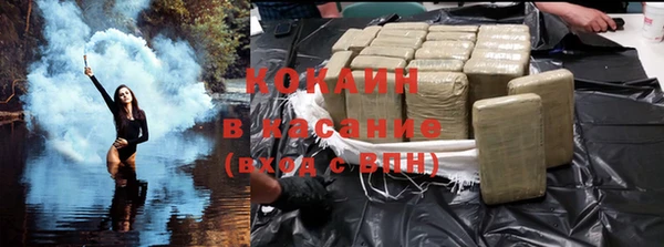 индика Алексин
