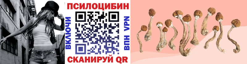 OMG как зайти Елабуга Галлюциногенные грибы мицелий