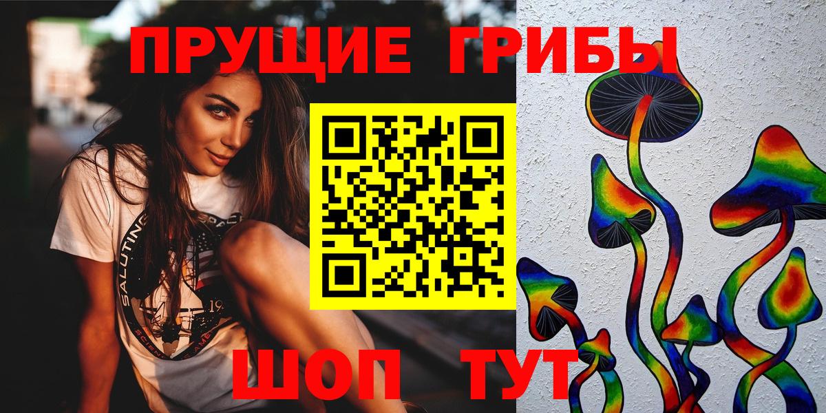 Елабуга  Псилоцибиновые грибы Psilocybine cubensis  купить  цена  Вход с VPN  Псилоцибиновые грибы Psilocybine cubensis 