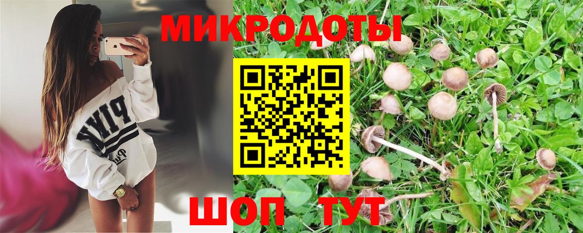 Галлюциногенные грибы ЛСД Елабуга