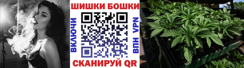Бошки Шишки VHQ Елабуга